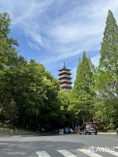 Репетитор по китайскому языку онлайн