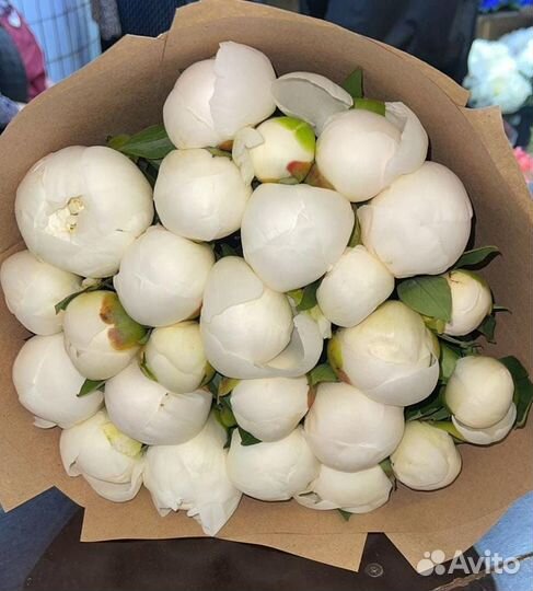 Белые пионы. букет пионов