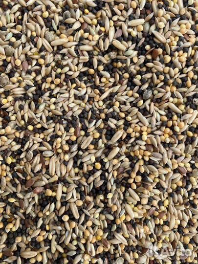 Смесь для канареек