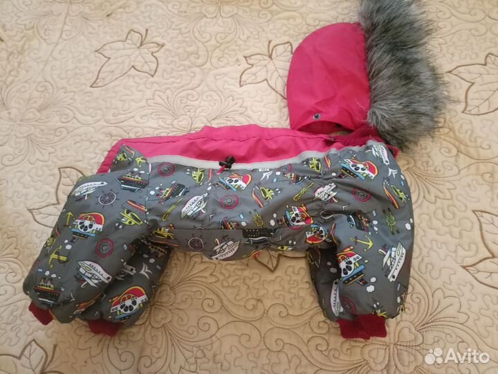 Одежда для маленьких собак