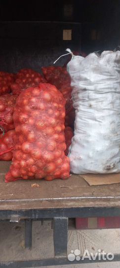 Продажа лук,морковь и тд