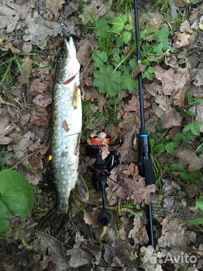 Favorite Blue Bird BB1-682SUL-S 2,04м 0,8-5гр