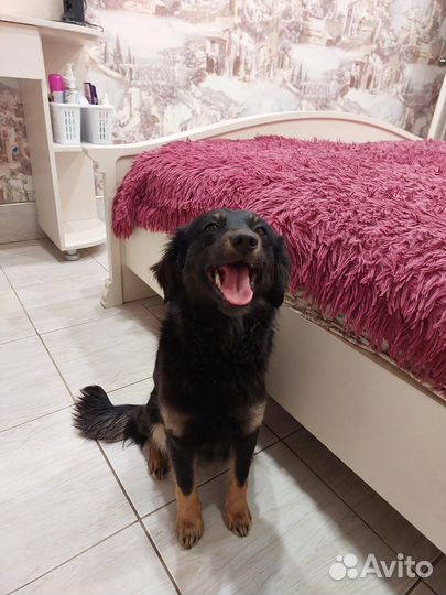 Марго в заботливые ручки