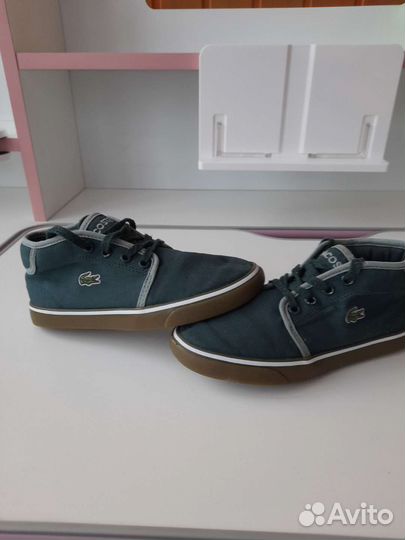 Ботинки lacoste оригинал