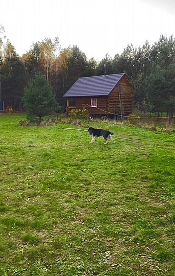 Участок 5 га (СНТ, ДНП)