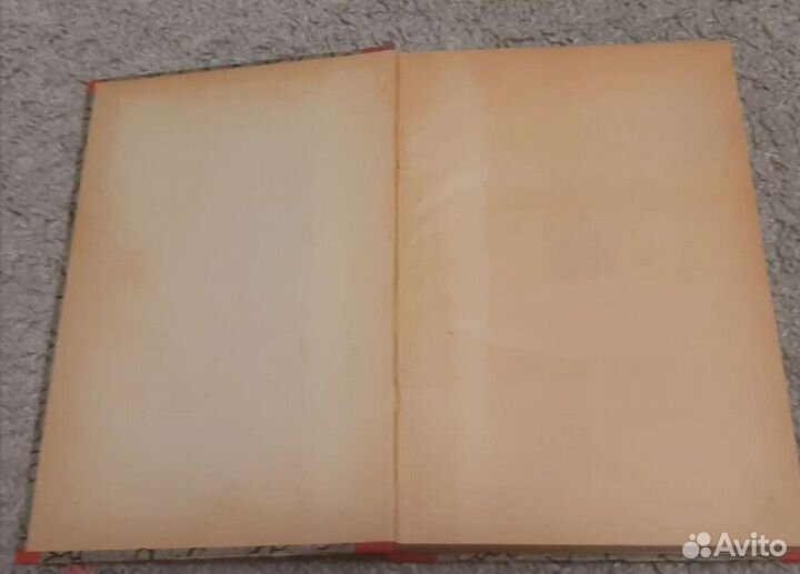 Бунтарбунтари. Ал.Алтаев 1926 год