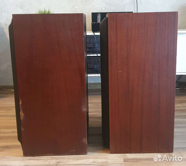 Колонки Корвет 35 ас - 028