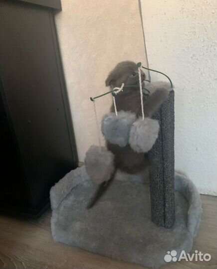 Когтеточка столбик с игрушками(новые)