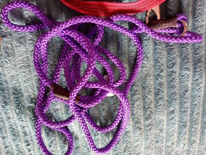 Амуниция для собаки средней породы