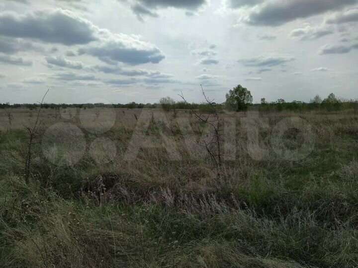 Участок 13 га (СНТ, ДНП)