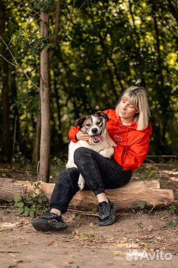 Дружелюбный Дьюк собака из приюта в добрые руки