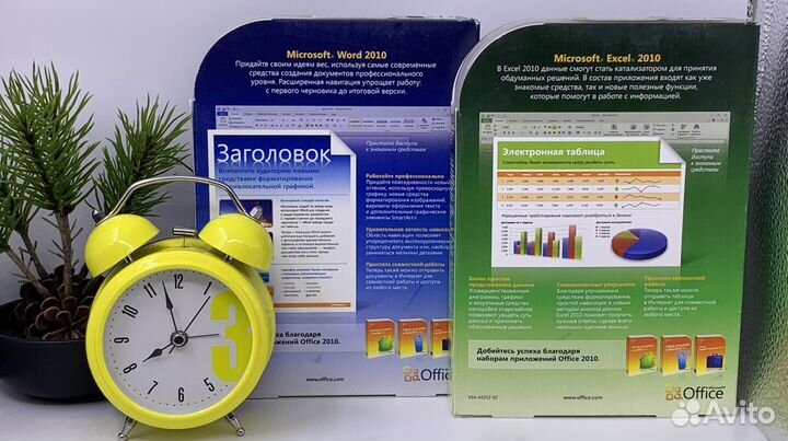 Word 2010 BOX excel 2010 BOX