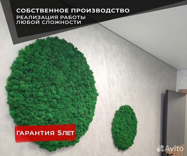 Круги из стабилизированного мха