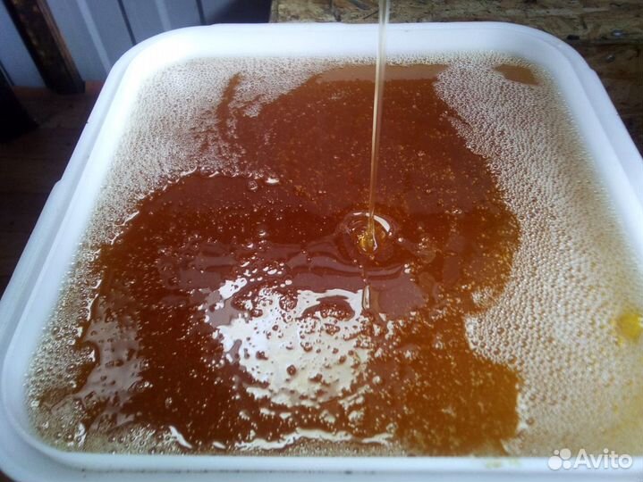 Мёд Майский