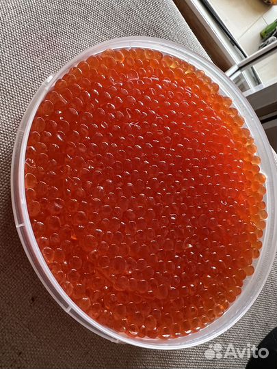 Красная икра