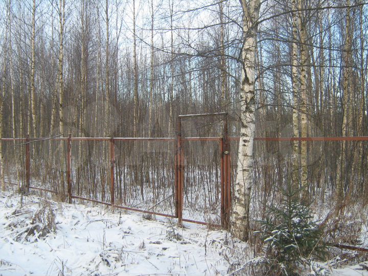 Участок 10 сот. (СНТ, ДНП)