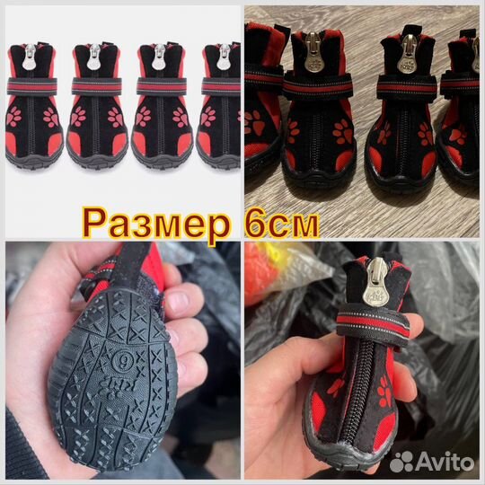 Одежда и обувь для маленьких и крупных собак