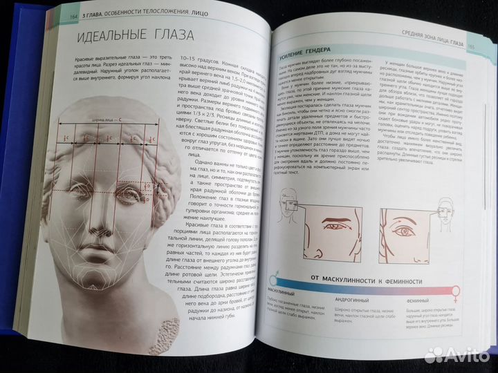 Код внешности от головы до пальцев ног