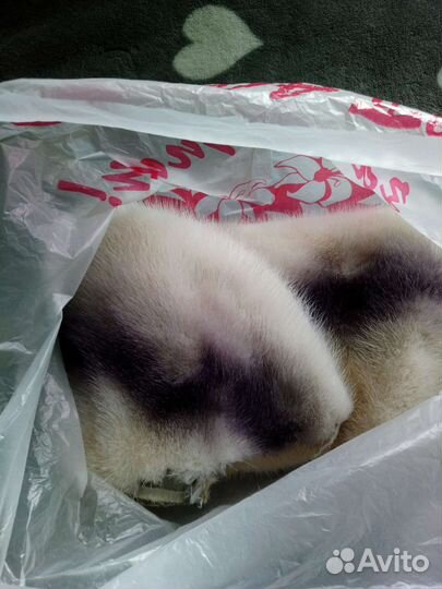 Воротник из норки, сумка, ремень (пояс)