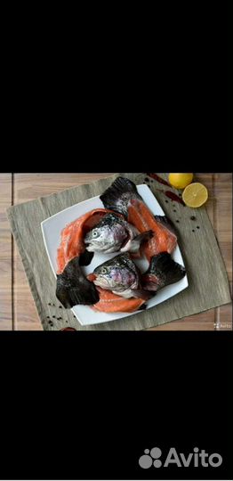 Лосось семга