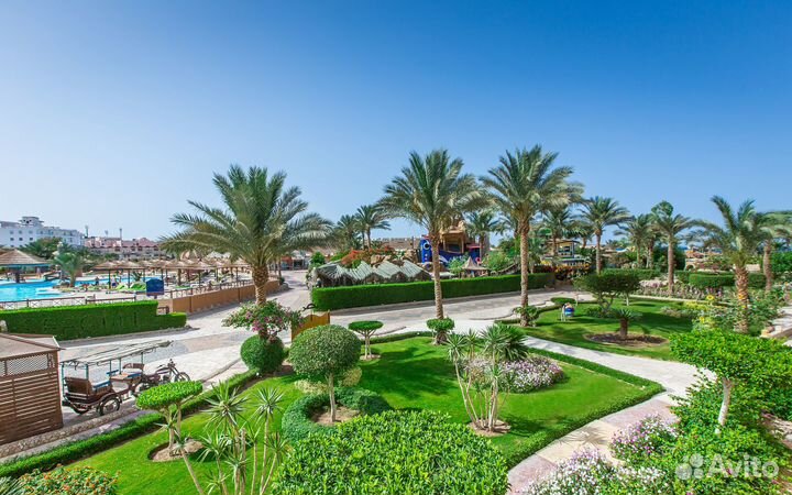 Горящий тур в Египет