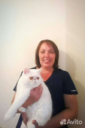 Ветврач.Стаж 23года.Кастрации.Стерилизации.Стрижки