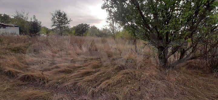 Участок 10 сот. (СНТ, ДНП)