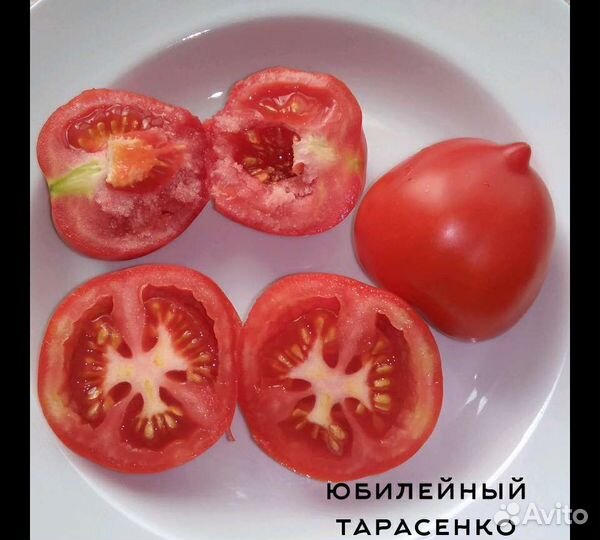 Коллекционные семена сорта томатов помидоров