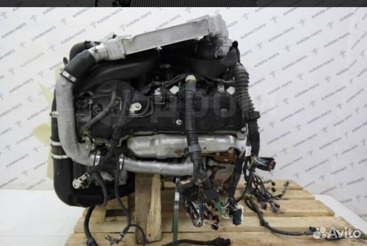 Двc Тойота Крузер 200 1VD-FTV ремонт авто