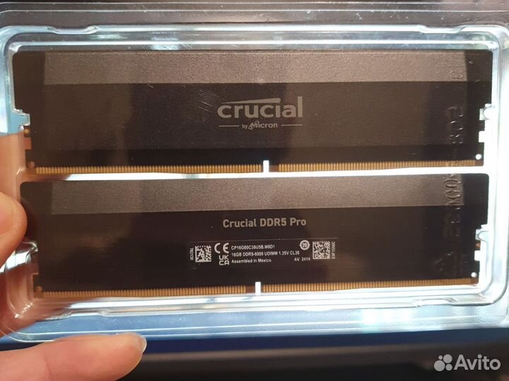 Ddr5 6000 crucial pro 32gb