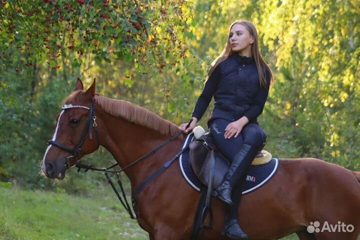 Конные прогулки/обучение верховой езде