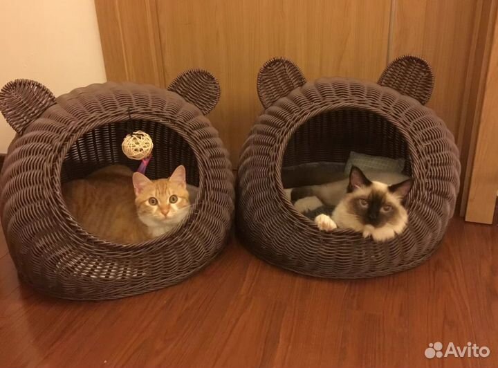 Домик для кота