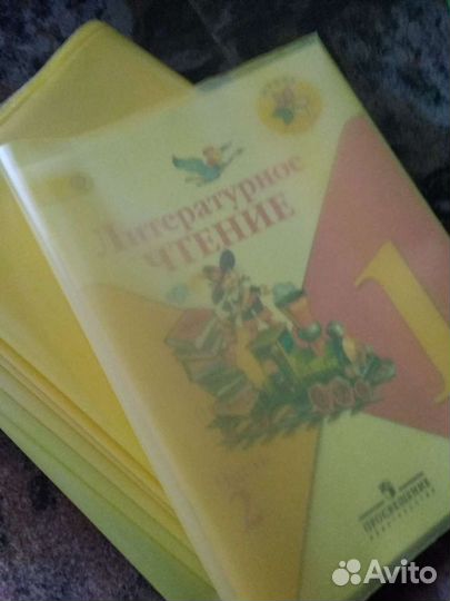 Товары к школе, Дневники