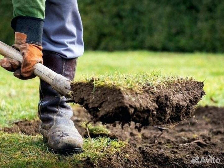 Разнорабочие