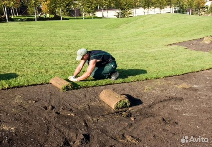 Укладка и продажа газона