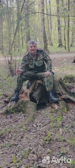 Социальная поддержка на дому