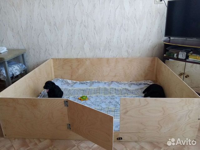 Короб родильный для собак купить в Новосибирске | Животные и зоотовары ...
