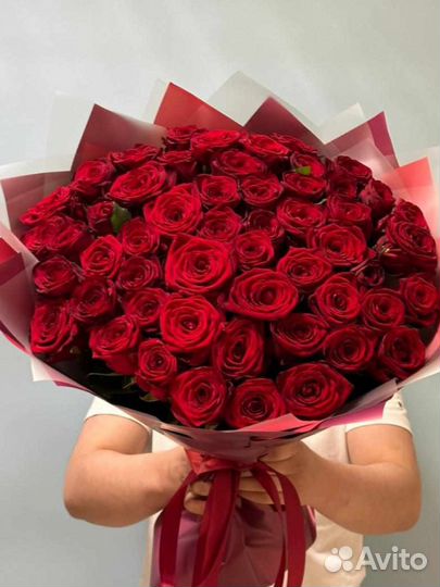 Розы красные