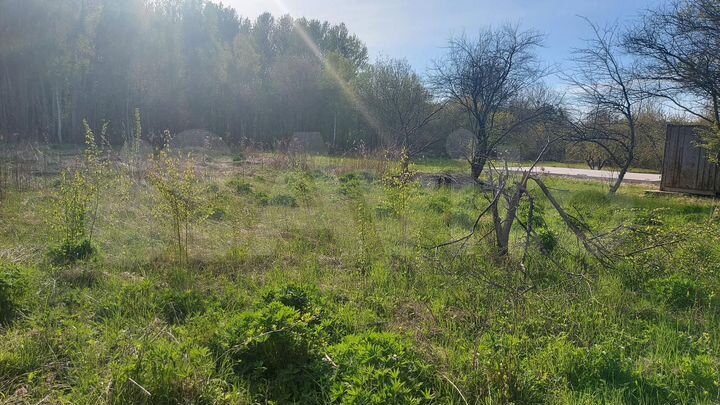 Участок 12 сот. (СНТ, ДНП)