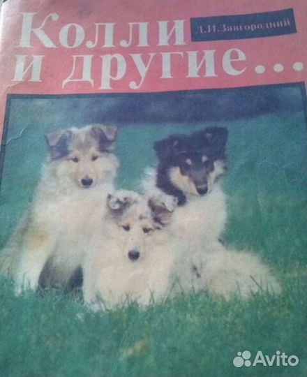 Ваши домашние четвероногие друзья