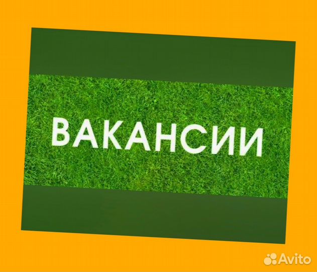 Кладовщик без опыта Еженедельные выплаты Одежда
