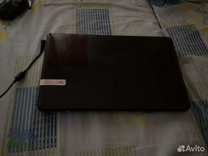 Ноутбук packard Bell