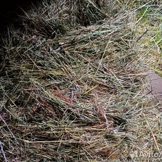 Сено в тюках