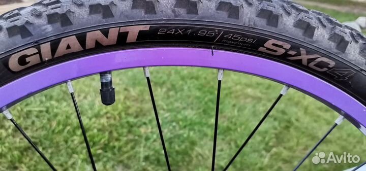 Велосипед Giant Liv Enchant 24