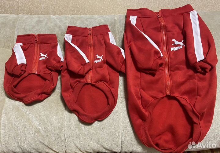 Одежда для собак и кошек