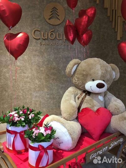 Новые плюшевые медведи в Тюмени