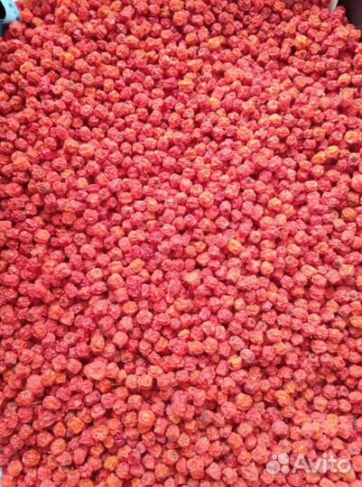 Рябина красная - ягоды сушеные, свежие