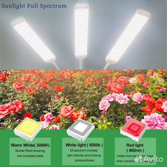 Фитолампа для растений