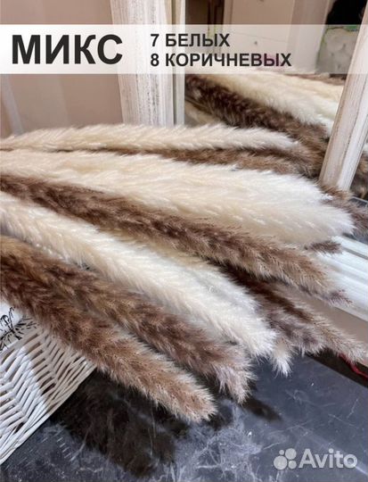 Сухоцветы Кортадерия