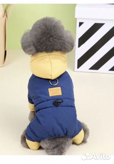 Новый зимний комбинезон для собак